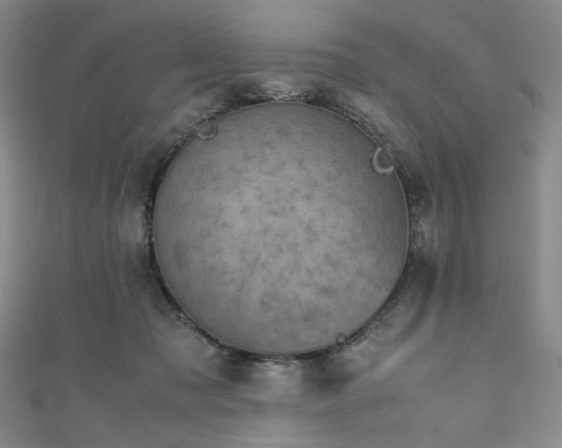 X0000111840317200907231413