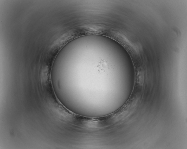 X0000111840318200907231413