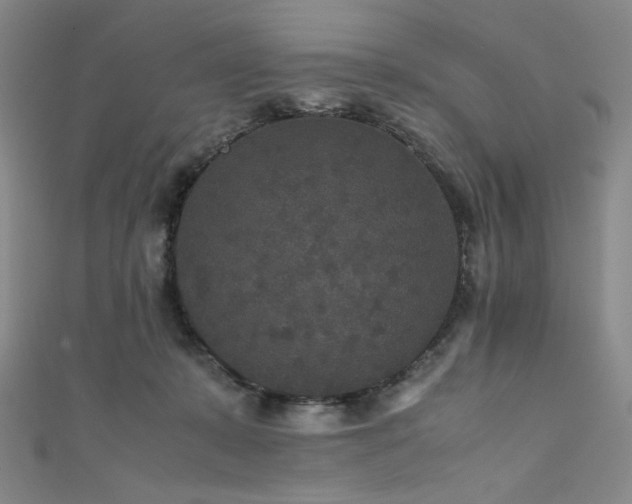 X0000111840319200907231413