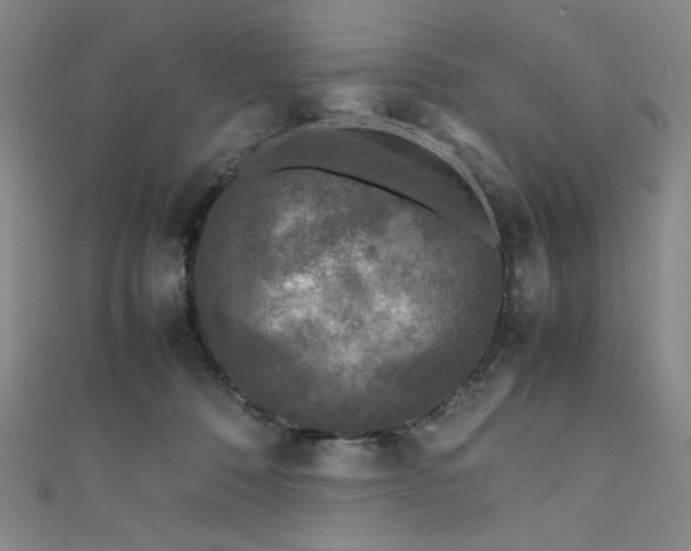 X0000111840320200907231413