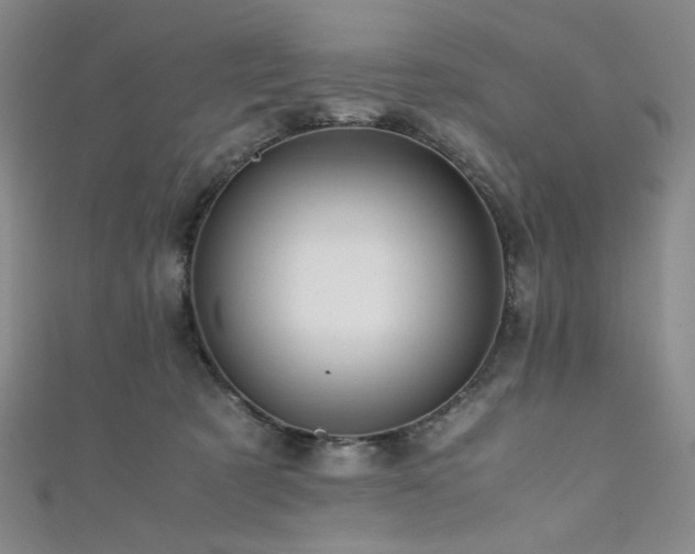 X0000111840321200907231413