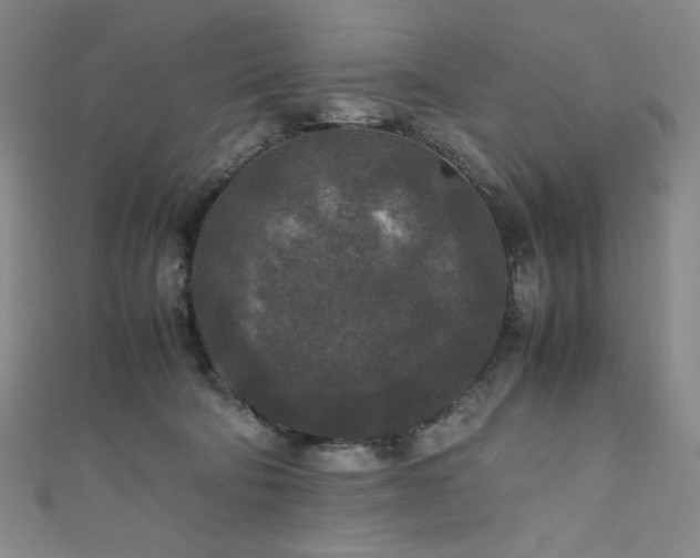 X0000111840322200907231413