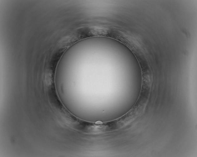 X0000111840323200907231413