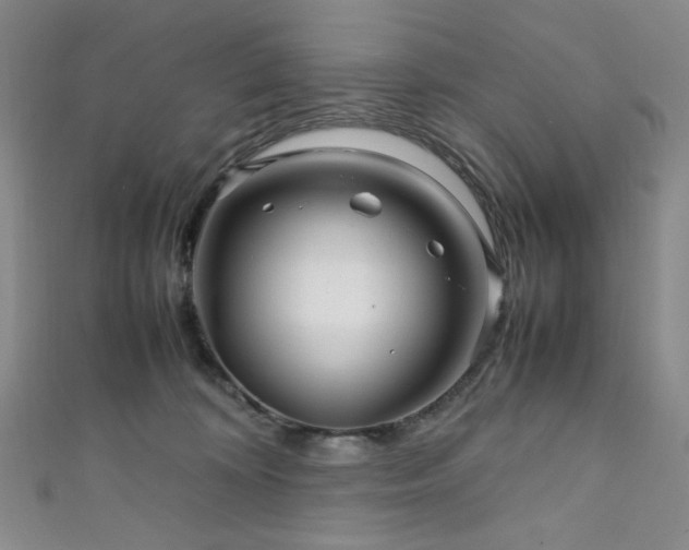 X0000111840324200907231413