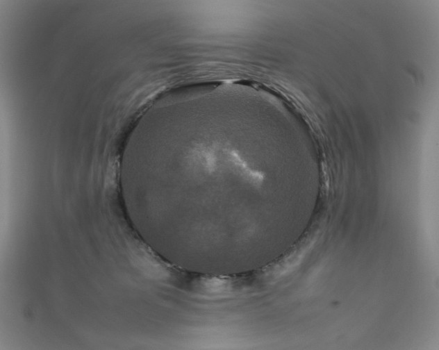 X0000111840325200907231413