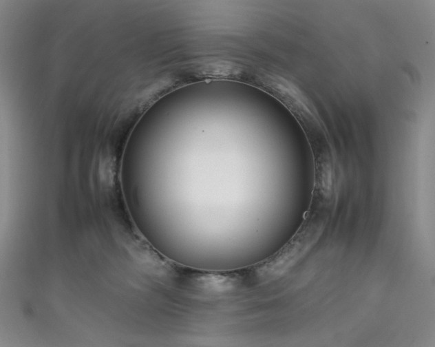 X0000111840326200907231413