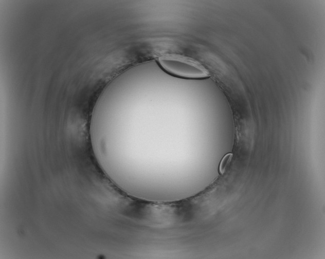 X0000111840327200907231413