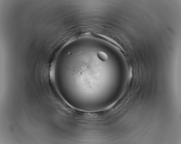 X0000111840328200907231413