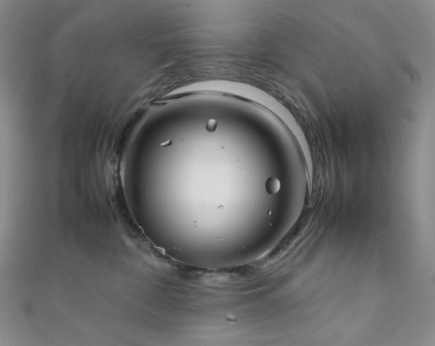 X0000111840332200907231413