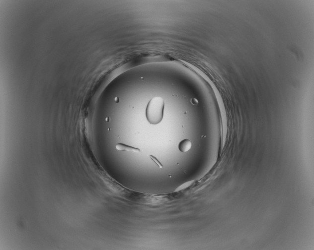 X0000111840333200907231413