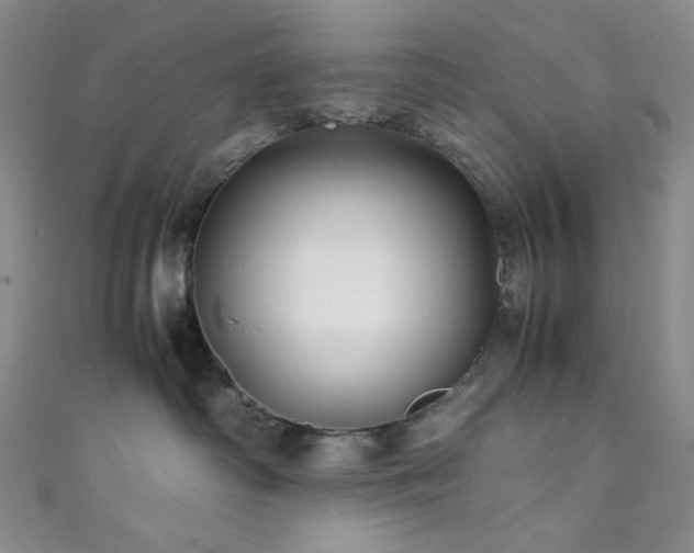 X0000111840334200907231413