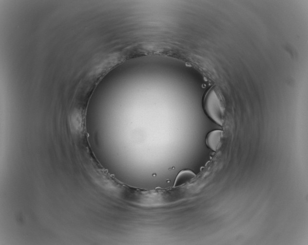 X0000111840335200907231413