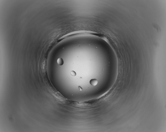 X0000111840336200907231413