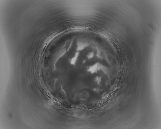 X0000111840337200907231412