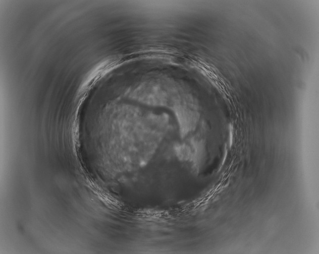 X0000111840339200907231412