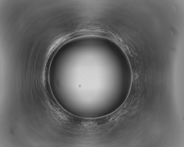 X0000111840340200907231412