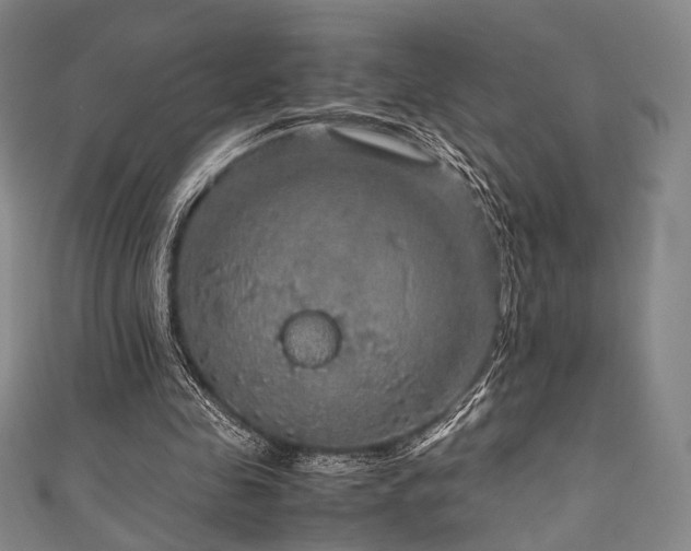 X0000111840341200907231412