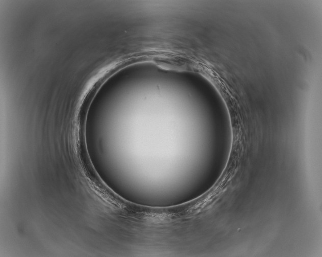 X0000111840342200907231412