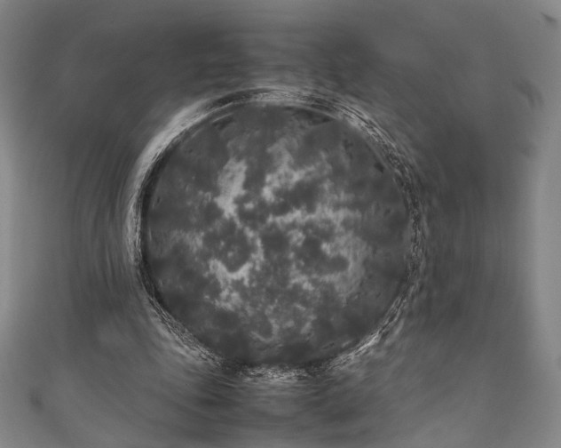 X0000111840343200907231412