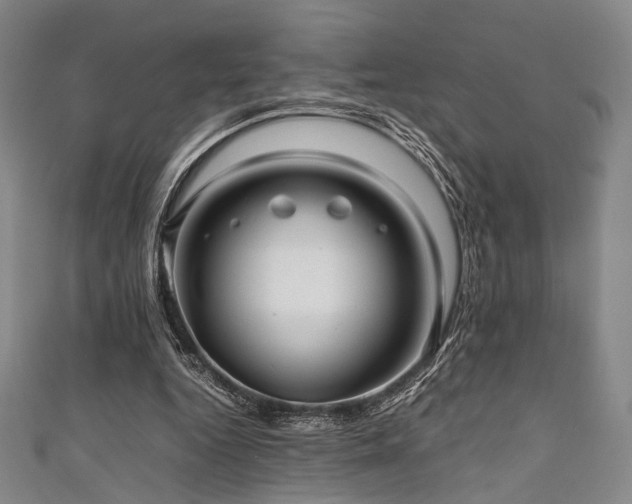 X0000111840344200907231413