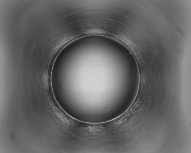 X0000111840345200907231413