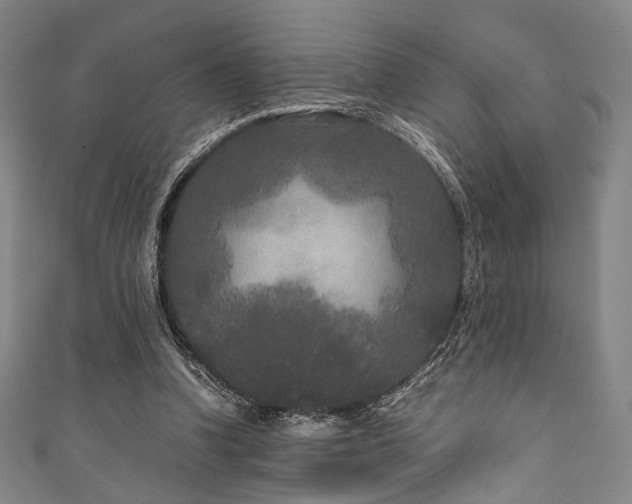 X0000111840346200907231413