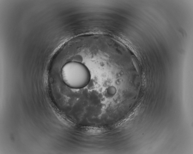 X0000111840347200907231413