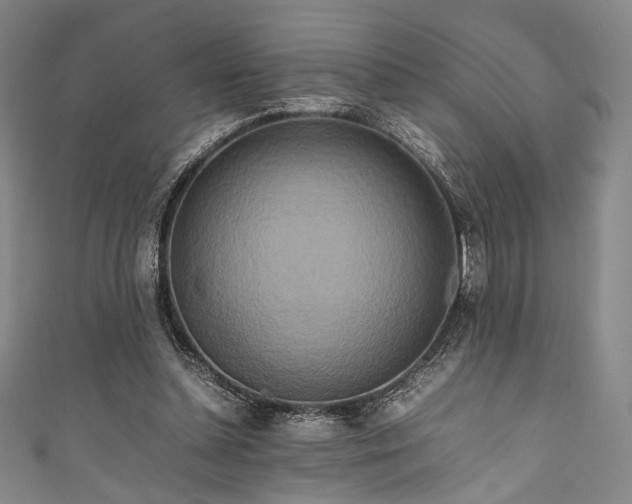 X0000111840348200907231413