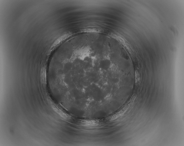 X0000111840349200907231413