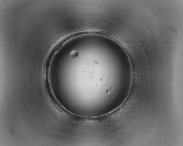 X0000111840350200907231413