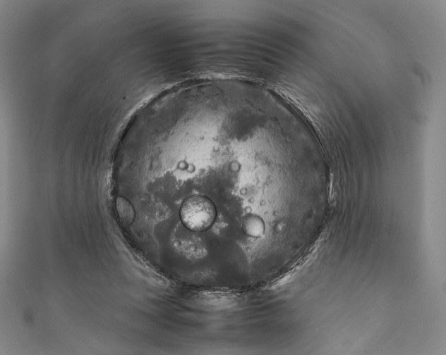 X0000111840351200907231413