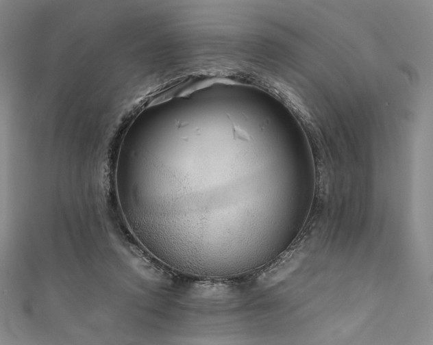 X0000111840354200907231413