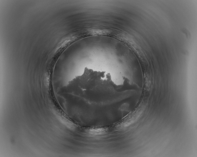 X0000111840357200907231413