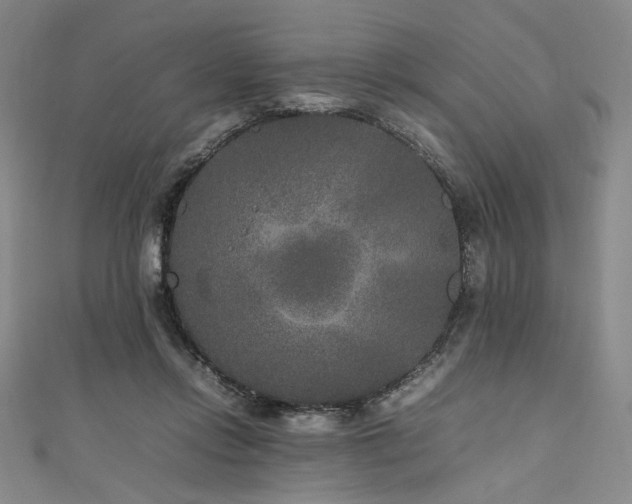 X0000111840358200907231413