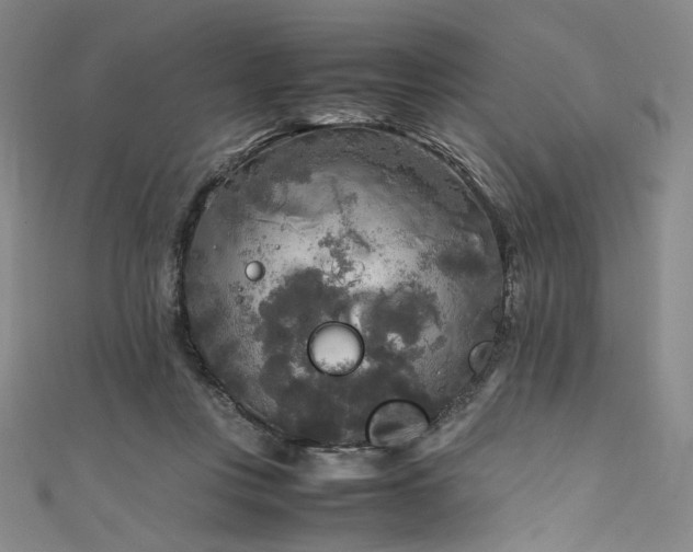 X0000111840359200907231413