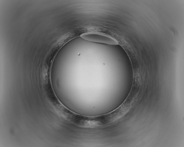 X0000111840360200907231413