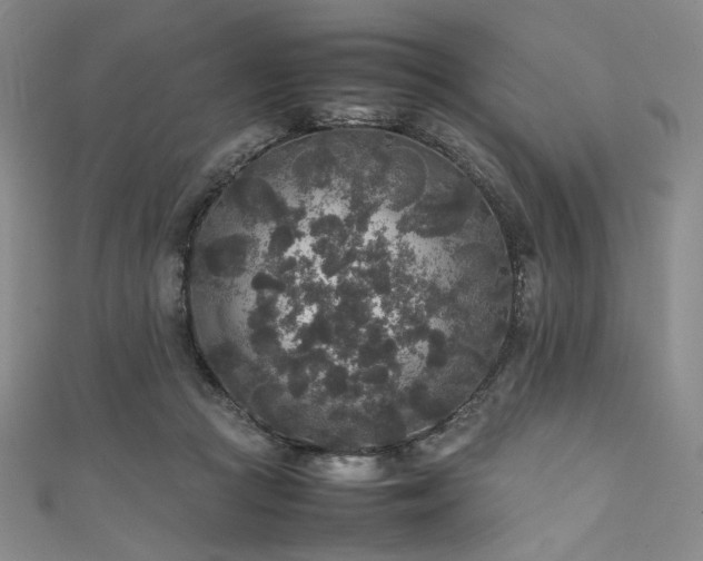 X0000111840361200907231413