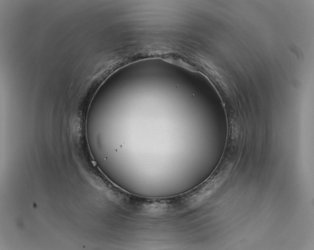 X0000111840362200907231413