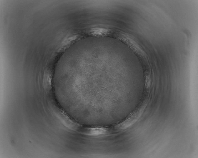 X0000111840363200907231413