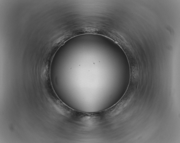 X0000111840364200907231413