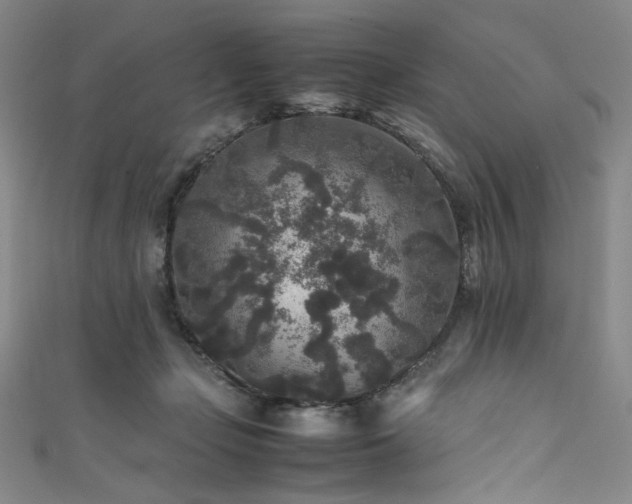 X0000111840365200907231413