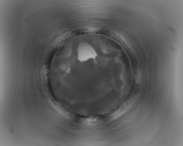 X0000111840366200907231413