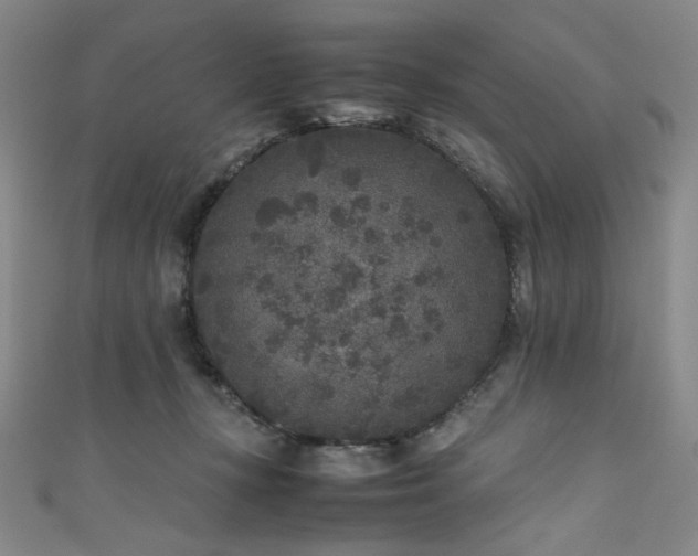 X0000111840367200907231413