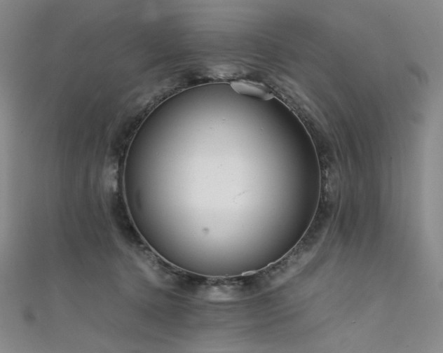 X0000111840368200907231413