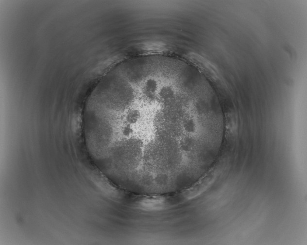 X0000111840369200907231413