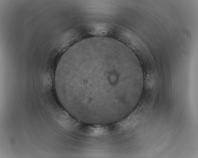 X0000111840370200907231413