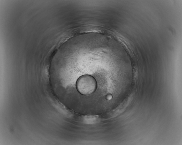 X0000111840373200907231413