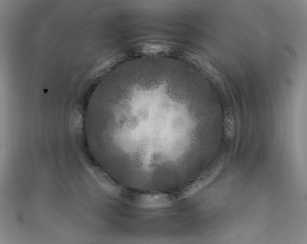 X0000111840375200907231413