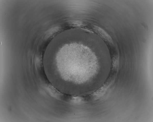 X0000111840376200907231413