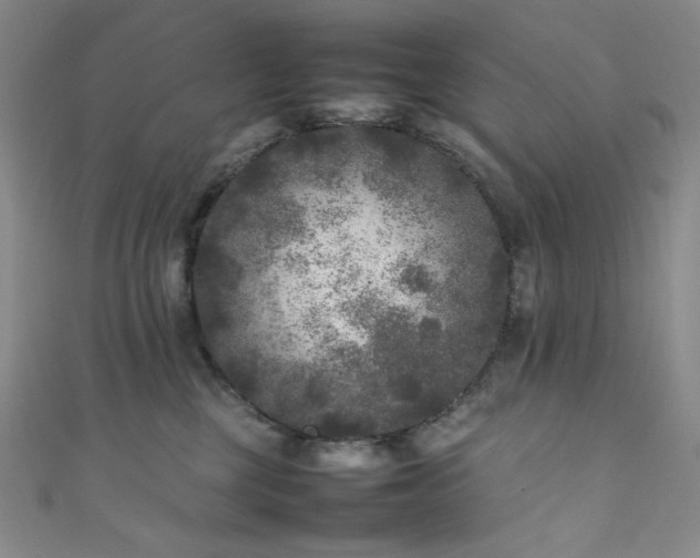 X0000111840377200907231413